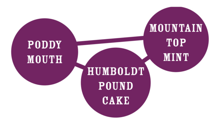 Three purple circles with text on a white background
