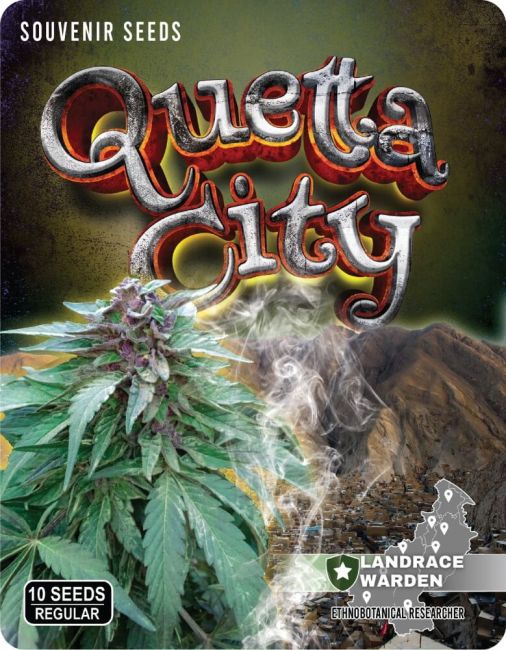 Seeds packet for 'Quetta City' with cannabis plant and smoking action on a dark background