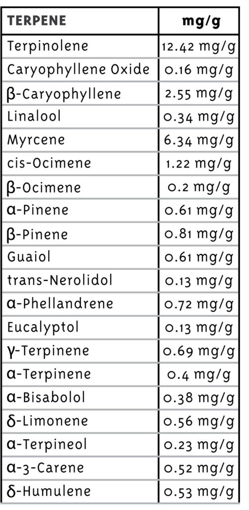 Table of terpenes with their respective concentrations in mg/g