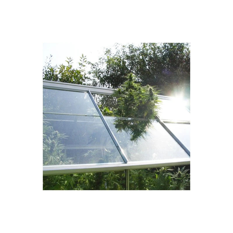 Greenhouse with transparent roof and walls surrounded by trees