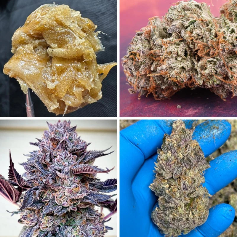 Collage of four images showing different types of cannabis buds.