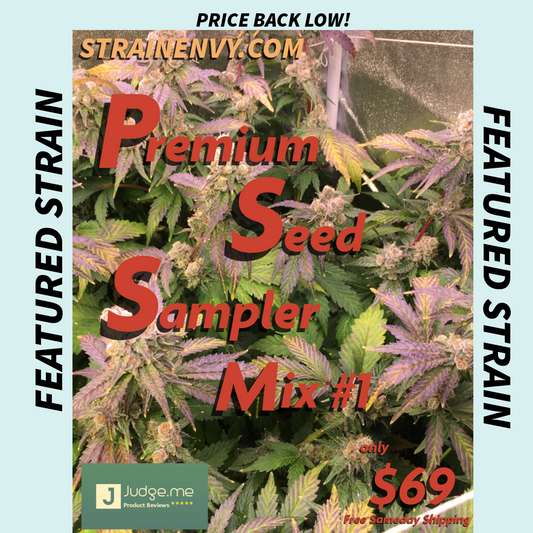 Sampler Mix #1 - Breedlove Genetics