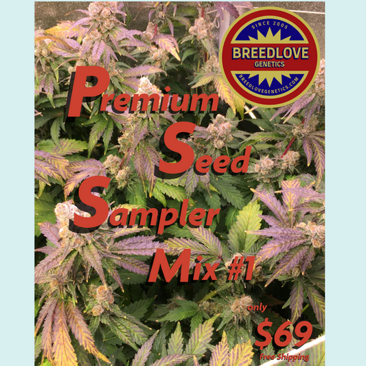 Sampler Mix #1 - Breedlove Genetics