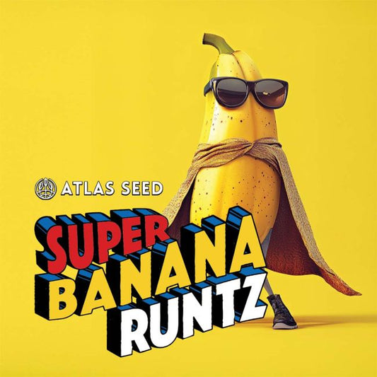 A stylized yellow banana character wearing black sunglasses and a tan cape stands on a bright yellow background with large 3D text reading 'SUPER BANANA RUNTZ' and the brand name 'ATLAS SEED' to the left.