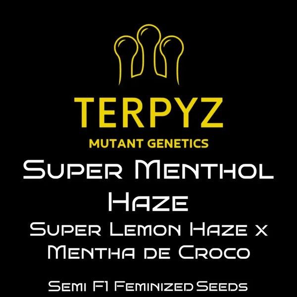 TERPYZ Mutant Genetics Super Menthol Haze cannabis seed packaging on a black background