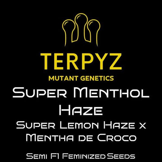 TERPYZ Mutant Genetics Super Menthol Haze cannabis seed packaging on a black background