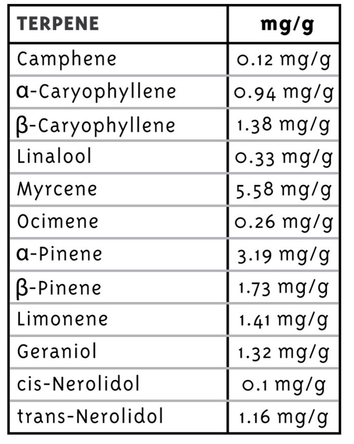Table of terpene concentrations in mg/g