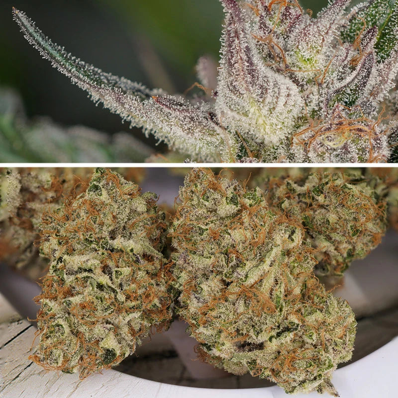 Close-up of cannabis buds with trichomes on a wooden surface.