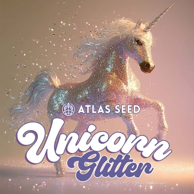 Unicorn Glitter - Atlas Seed