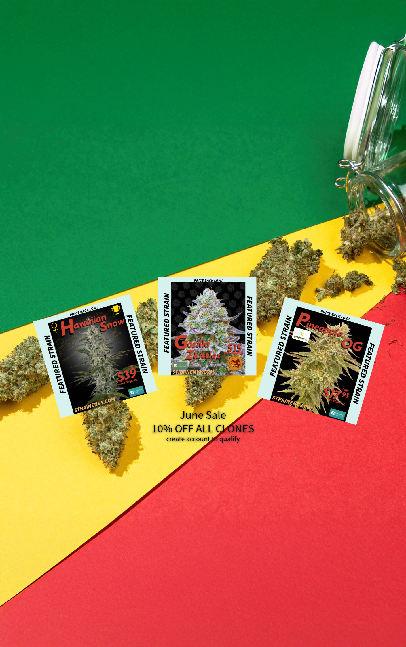 Marijuana seeds packets with plants on a green, yellow, and red background and introducing clones.
