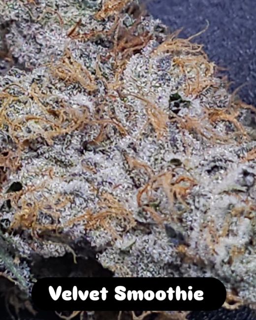 Close-up of a cannabis bud labeled 'Velvet Smoothie' with a dark background.