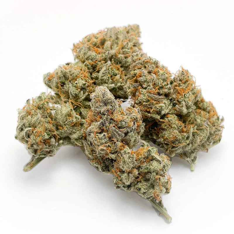 Close-up of cannabis buds on a white background