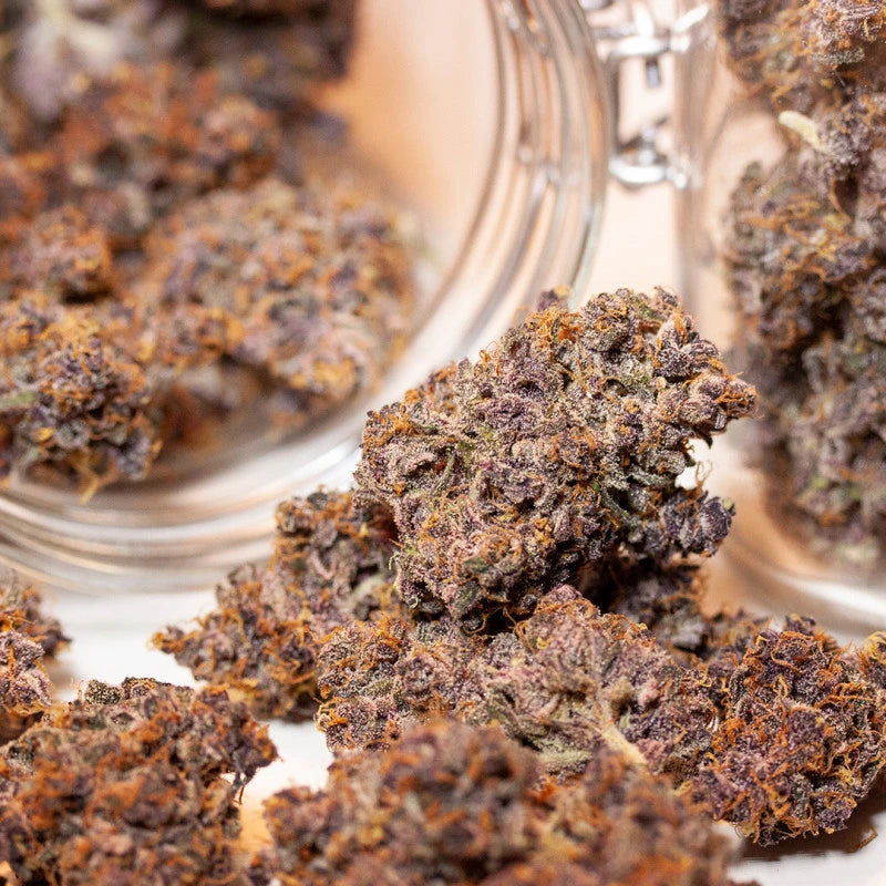 Blackberry Kush Auto - Dutch Passion