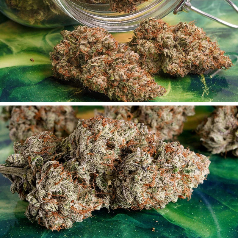 Close-up of cannabis buds on a green surface with a glass jar in the background.