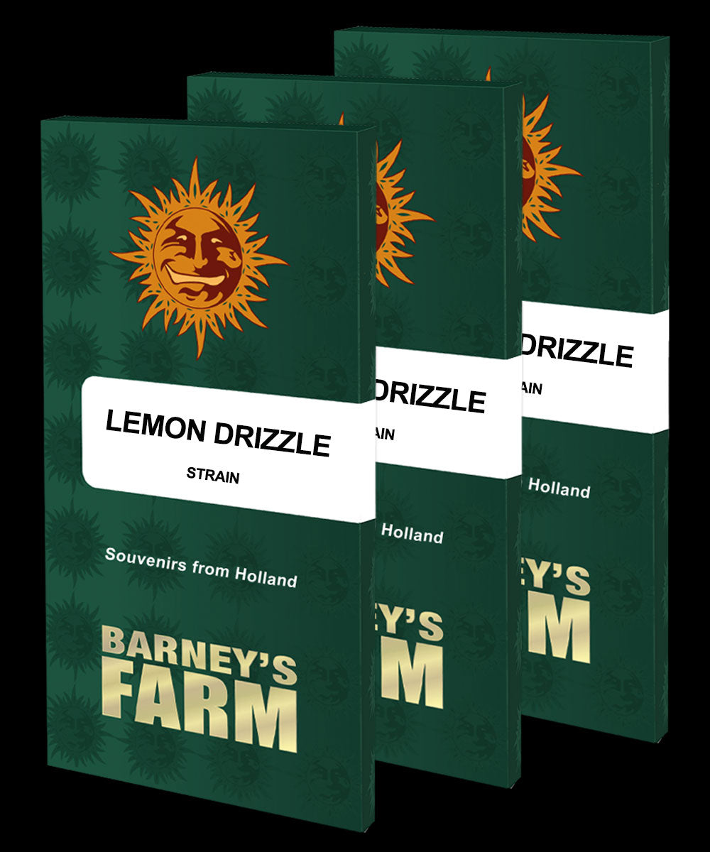 LEMON DRIZZLE - Barney's Farm