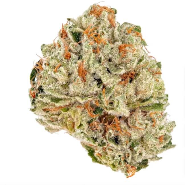 Close-up of a cannabis bud with green and orange colors on a white background